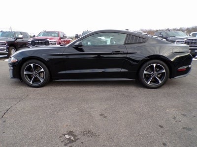 2021 Ford Mustang EcoBoost