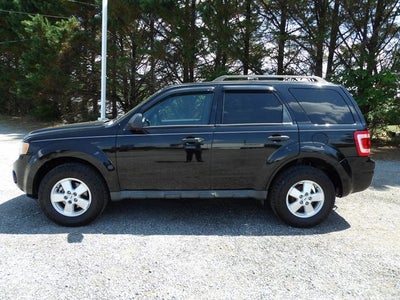 2010 Ford Escape XLT