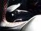 2026 Dodge Charger CHARGER SCAT PACK 4-DOOR AWD